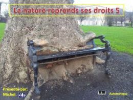 diaporama pps La nature reprend ses droits 5