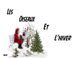 diaporama pps Les oiseaux et l’hiver