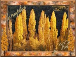 diaporama pps Les peupliers du val