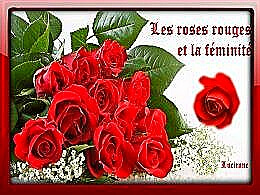diaporama pps Les roses rouges et la féminité