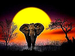 diaporama pps Nasser Osman photography