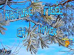 diaporama pps Nature figée