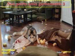 diaporama pps Nos petits amis garnements 3