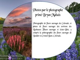 diaporama pps Photos Bryan Maltais
