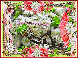 diaporama pps Quand arrive le printemps