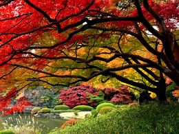 diaporama pps Shinjuku Gyoen – Japan