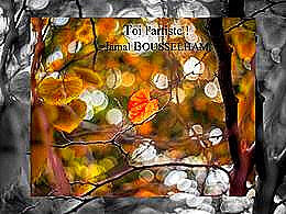 diaporama pps Toi l’artiste