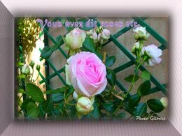 diaporama pps Vous avez dit roses etc…