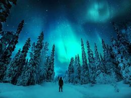 diaporama pps Frozen trees