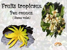 diaporama pps Fruits tropicaux 2ème volet