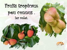 diaporama pps Fruits tropicaux