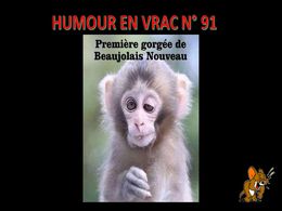 diaporama pps Humour en vrac N°91