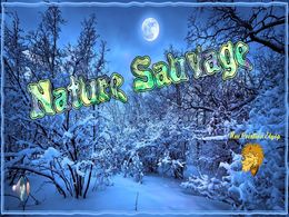 diaporama pps Nature sauvage