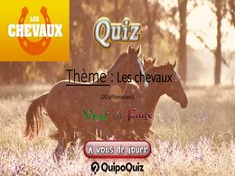diaporama pps Quiz les chevaux