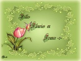 diaporama pps Villes fleuries en France II