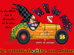 diaporama pps Au fil des routes les arbres