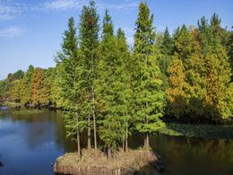 diaporama pps Automne