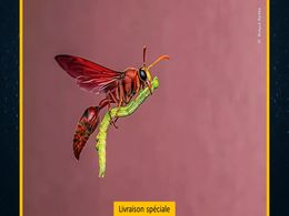 diaporama pps Images spectaculaires