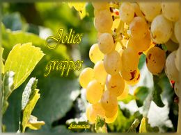 diaporama pps Jolies grappes