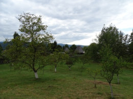 diaporama pps Musée du village de Maramureş