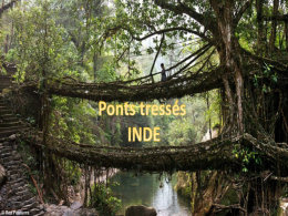 diaporama pps Ponts tressés Inde