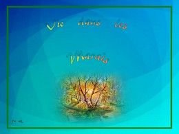 diaporama pps Vie dans les marais