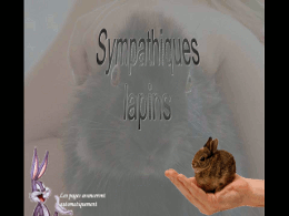 Sympathiques lapins