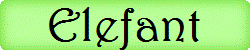 Elefant