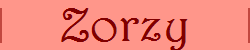 Zorzy
