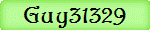 Guy31329