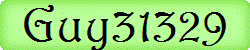 Guy31329