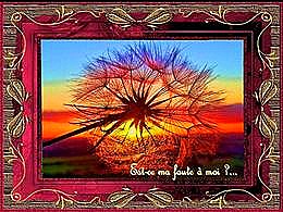 diaporama pps Est ce ma faute à moi ?