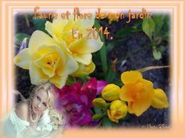 diaporama pps Faune et flore de mon jardin en 2014