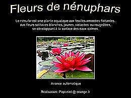 diaporama pps Fleurs de nénuphars