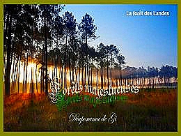 diaporama pps Forêts majestueuses