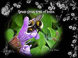 diaporama pps Green green grass of home