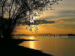 diaporama pps Island in the sun