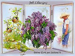 diaporama pps Joli Lilas