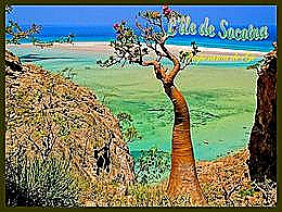 diaporama pps L’île Socotra