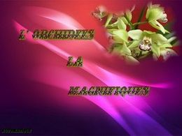 diaporama pps L’orchidée la magnifique