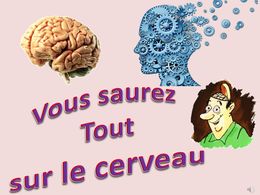 diaporama pps Le cerveau