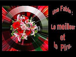 diaporama pps Le meilleur et le pire