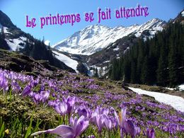 diaporama pps Le printemps se fait attendre