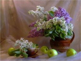 diaporama pps Nature Morte