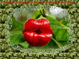 diaporama pps Orchidées étranges