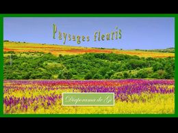 diaporama pps Paysages fleuris