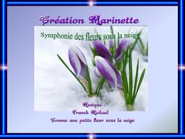 diaporama pps Petites fleurs sous la neige