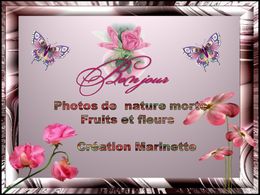 diaporama pps Photos de fruits et fleurs
