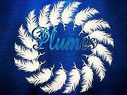 diaporama pps Plumes