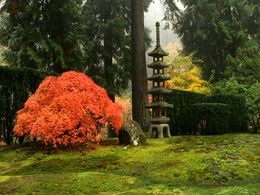 diaporama pps Portland japanese garden USA